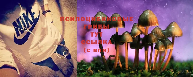 Псилоцибиновые грибы Magic Shrooms  как найти   сайты даркнета телеграм  Горбатов 