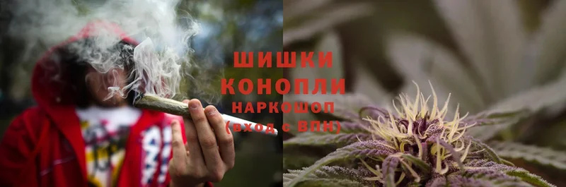 Марихуана OG Kush  Горбатов 